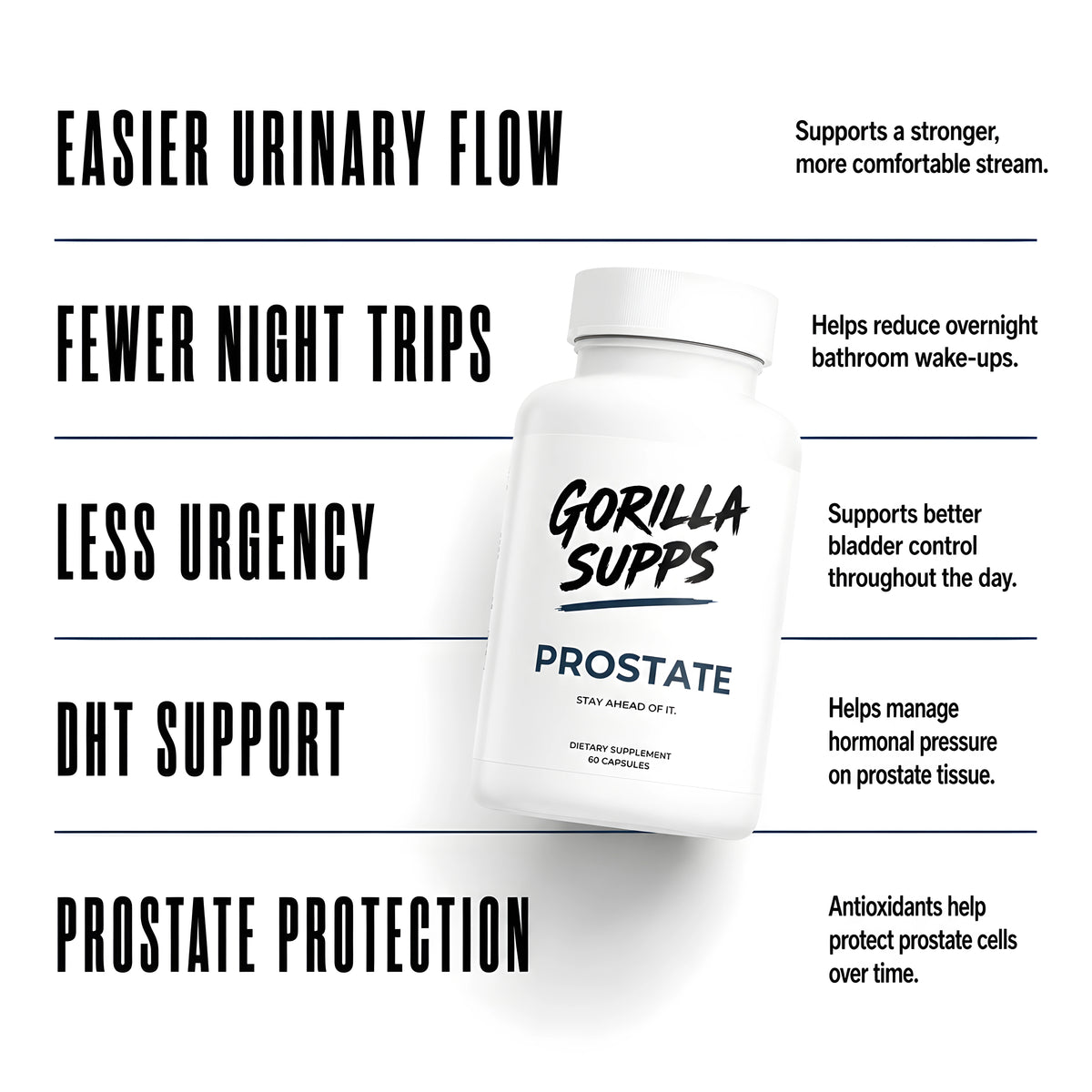 Prostate