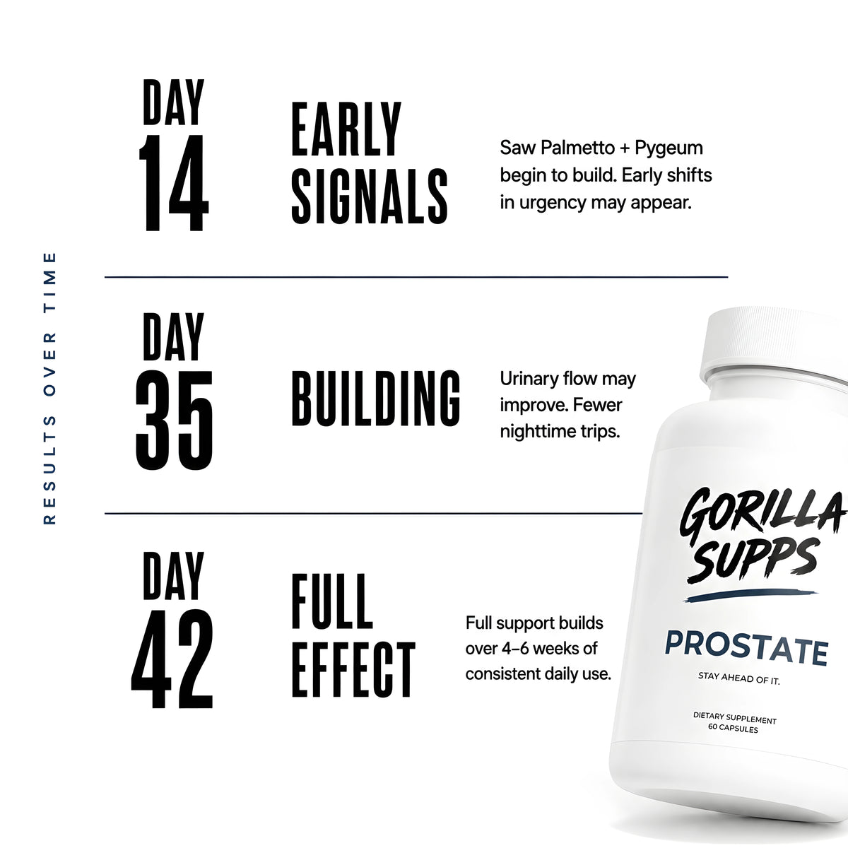 Prostate
