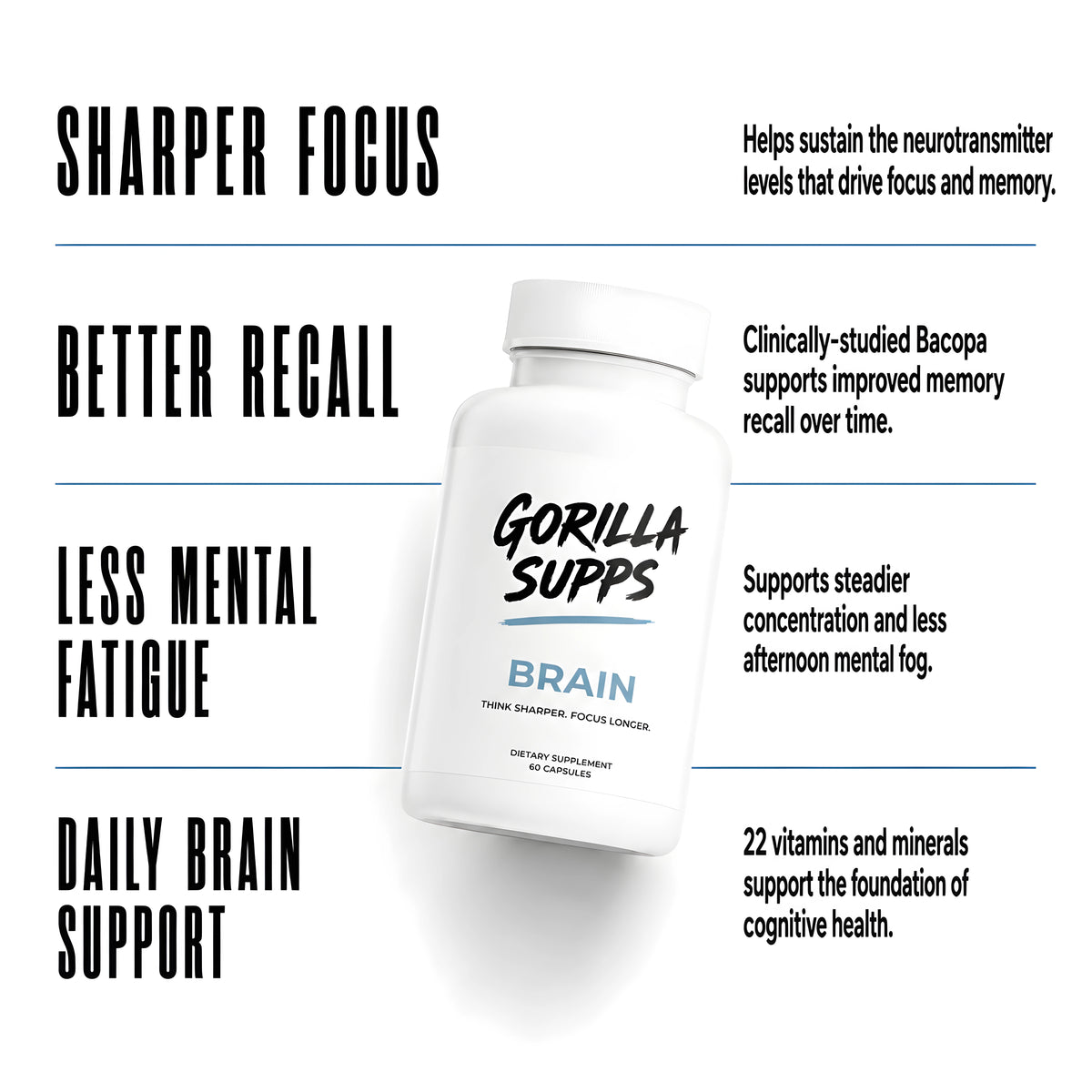 Brain