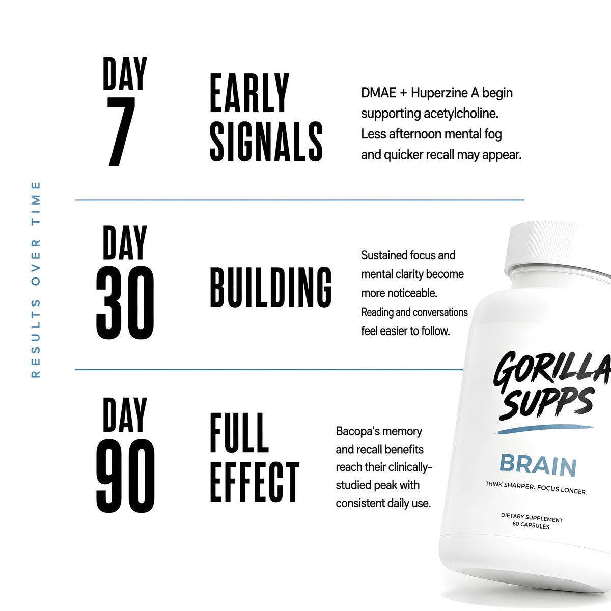 Brain