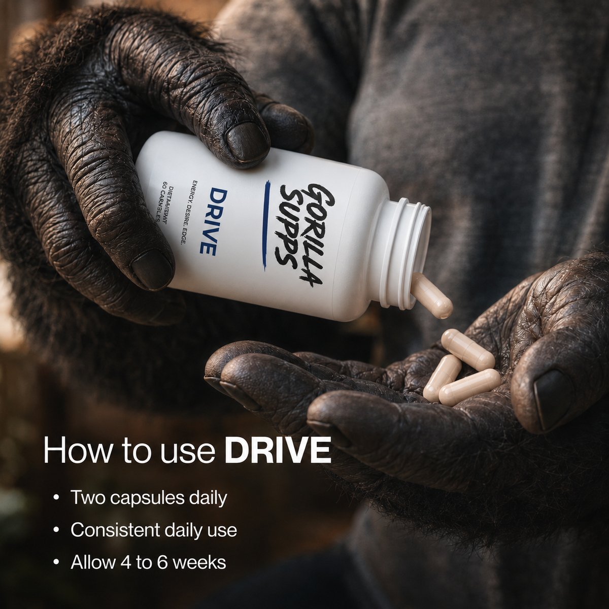 DRIVE
