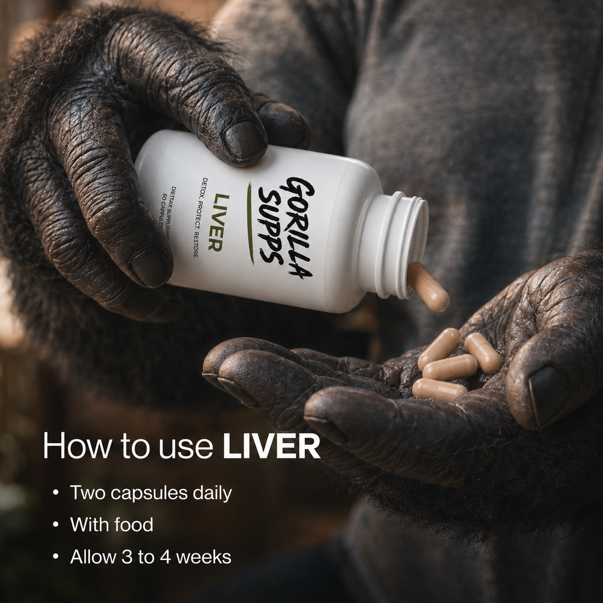 Liver