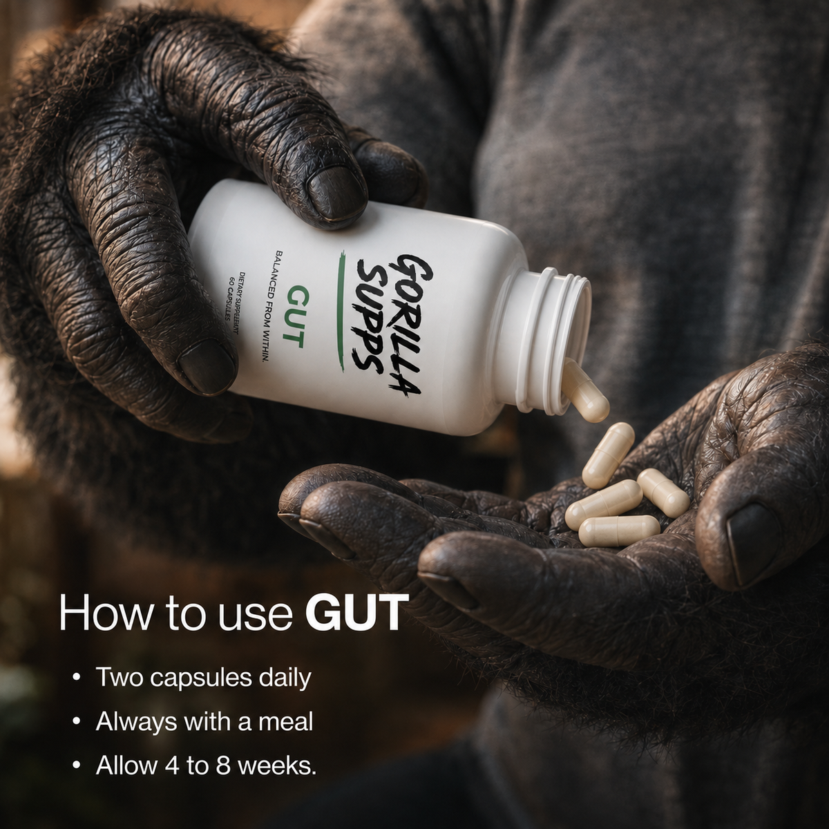 Gut