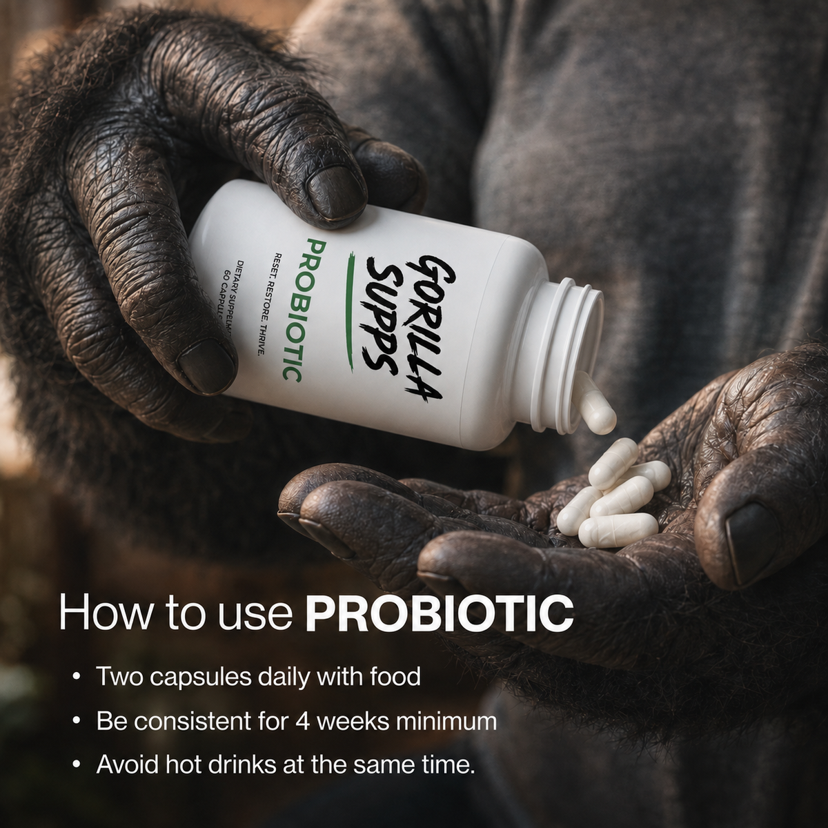 Probiotic