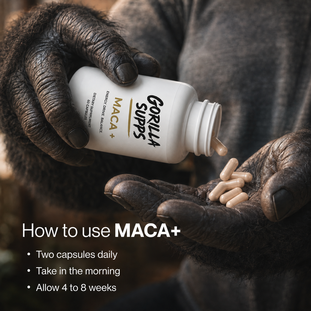 Maca +