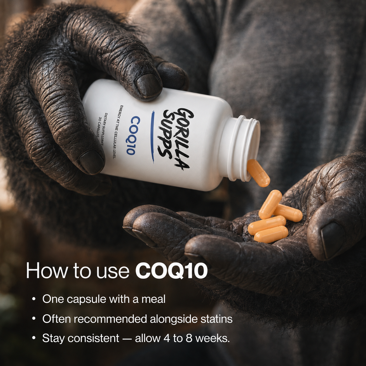 CoQ10