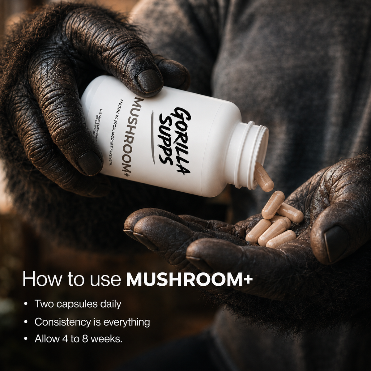 Mushroom +