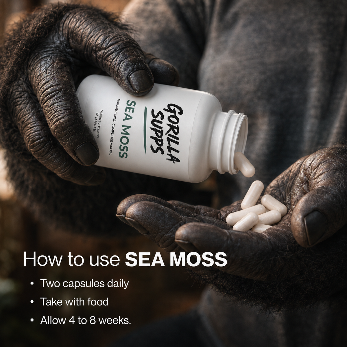 Sea Moss
